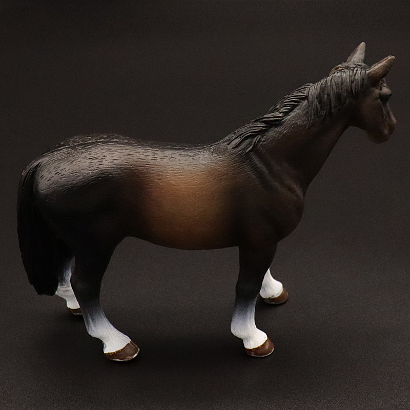 Clydesdale Hanoverian Quatema  - Kids First Education recensie en prijs